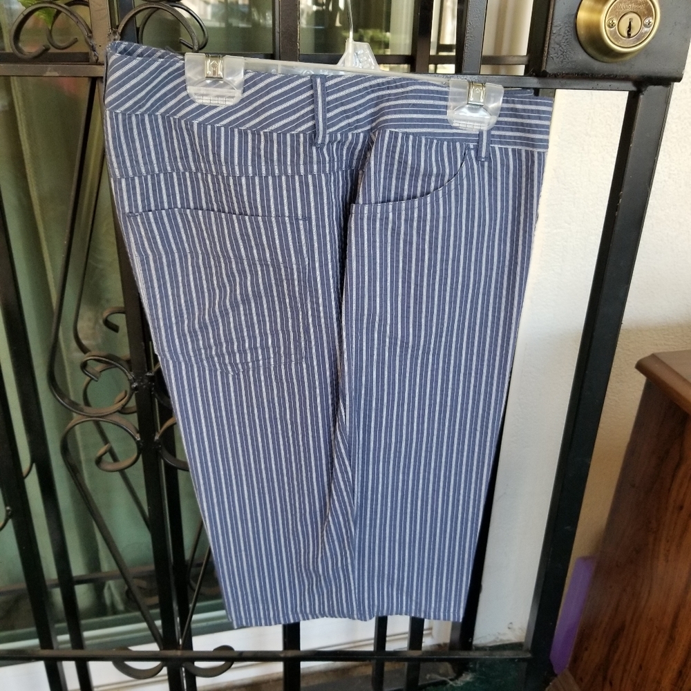 Liz & Co Shorts